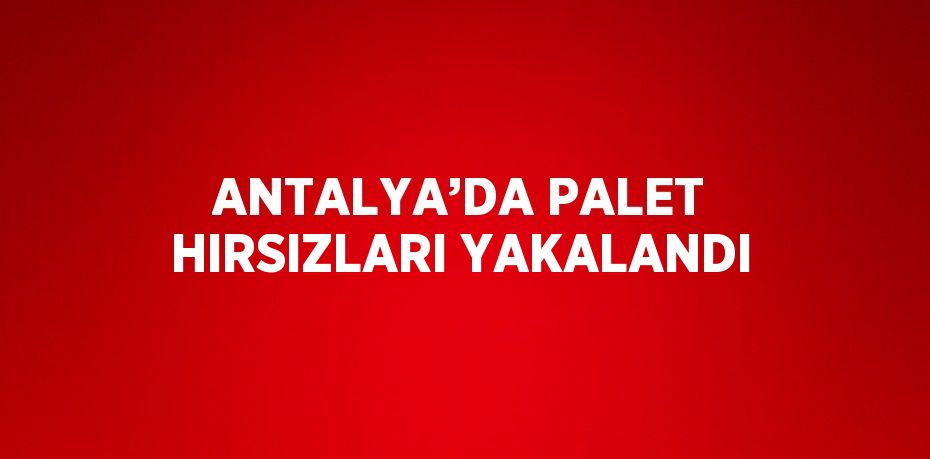 ANTALYA’DA PALET HIRSIZLARI YAKALANDI