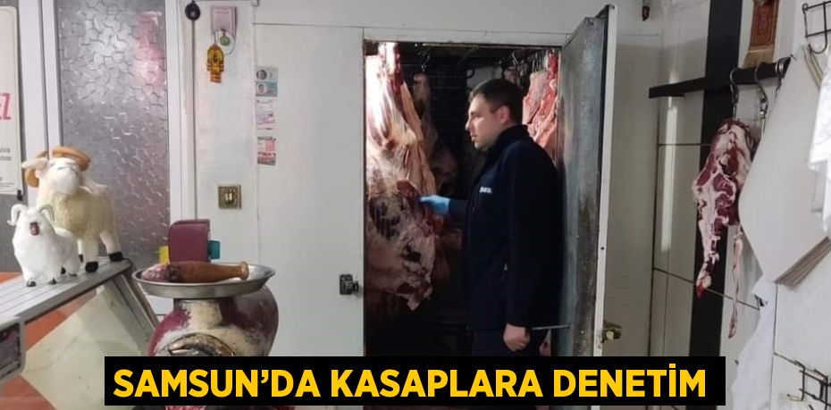 SAMSUN’DA KASAPLARA DENETİM