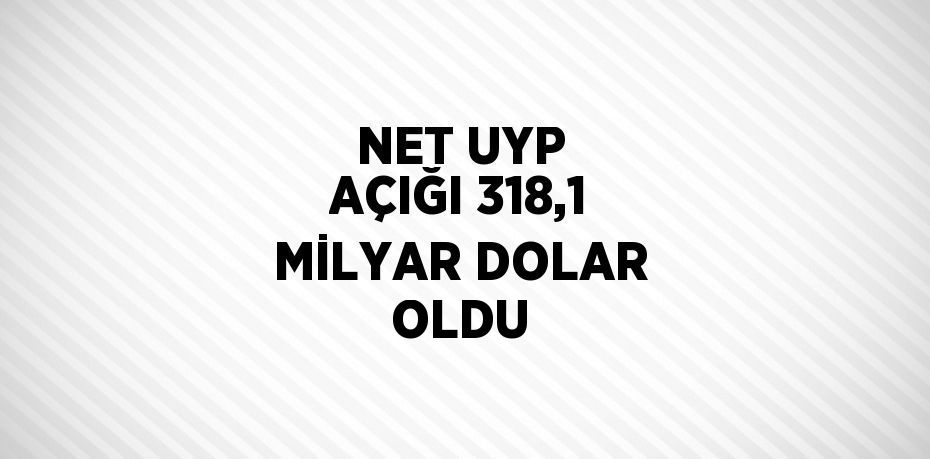 NET UYP AÇIĞI 318,1 MİLYAR DOLAR OLDU