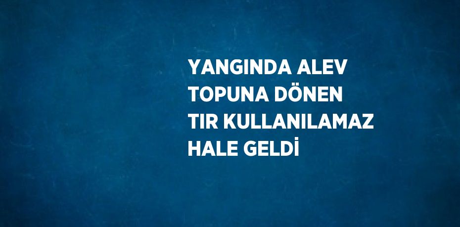 YANGINDA ALEV TOPUNA DÖNEN TIR KULLANILAMAZ HALE GELDİ