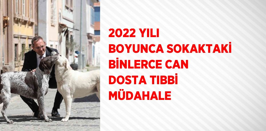 2022 YILI BOYUNCA SOKAKTAKİ BİNLERCE CAN DOSTA TIBBİ MÜDAHALE