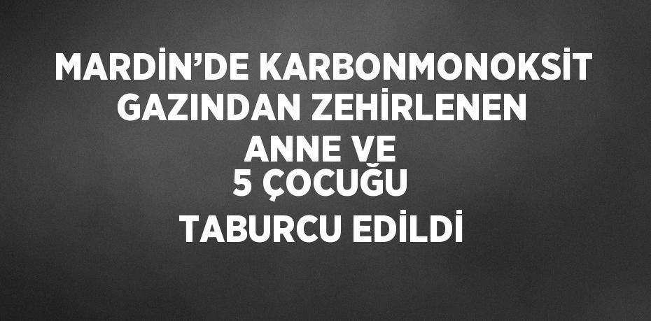 MARDİN’DE KARBONMONOKSİT GAZINDAN ZEHİRLENEN ANNE VE 5 ÇOCUĞU TABURCU EDİLDİ