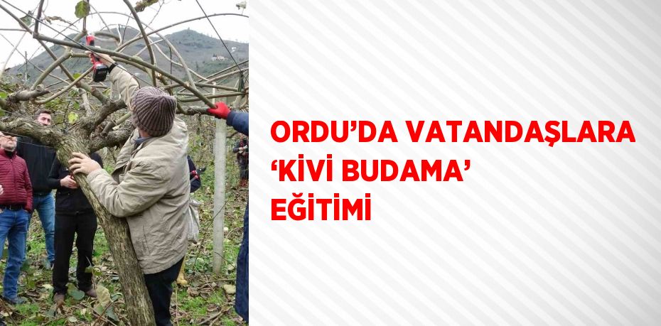 ORDU’DA VATANDAŞLARA ‘KİVİ BUDAMA’ EĞİTİMİ