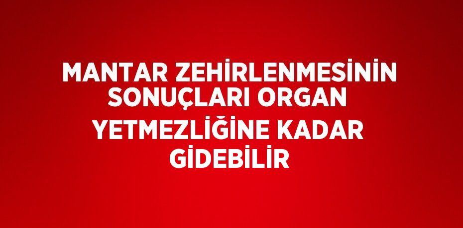 MANTAR ZEHİRLENMESİNİN SONUÇLARI ORGAN YETMEZLİĞİNE KADAR GİDEBİLİR