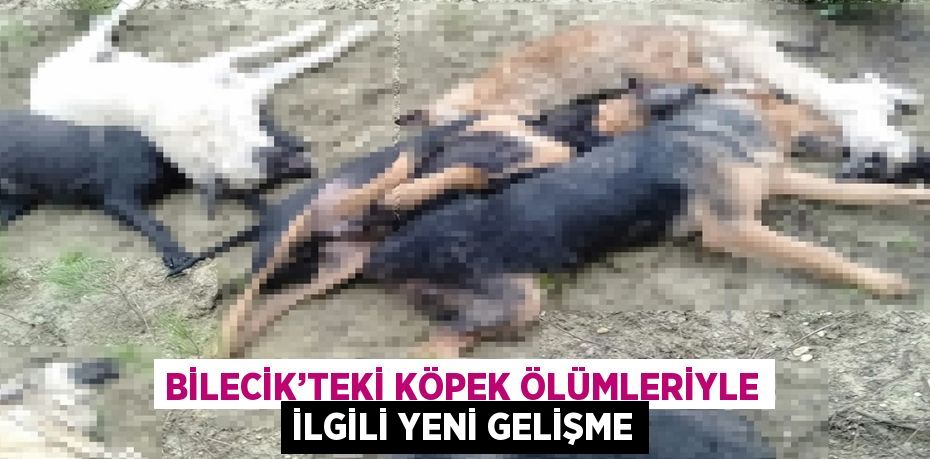 BİLECİK’TEKİ KÖPEK ÖLÜMLERİYLE İLGİLİ YENİ GELİŞME