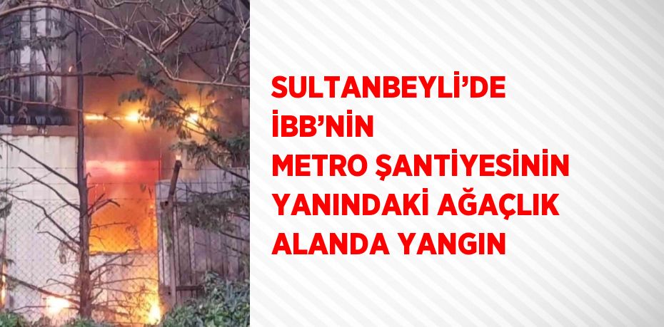 SULTANBEYLİ’DE İBB’NİN METRO ŞANTİYESİNİN YANINDAKİ AĞAÇLIK ALANDA YANGIN