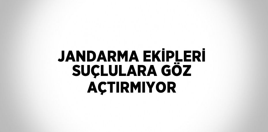 JANDARMA EKİPLERİ SUÇLULARA GÖZ AÇTIRMIYOR