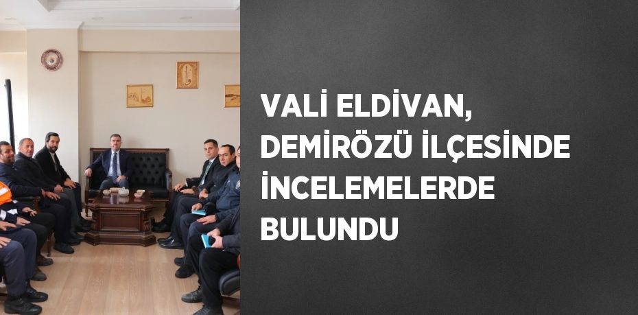 VALİ ELDİVAN, DEMİRÖZÜ İLÇESİNDE İNCELEMELERDE BULUNDU