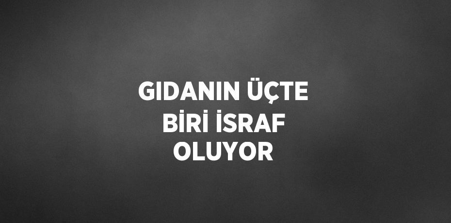 GIDANIN ÜÇTE BİRİ İSRAF OLUYOR