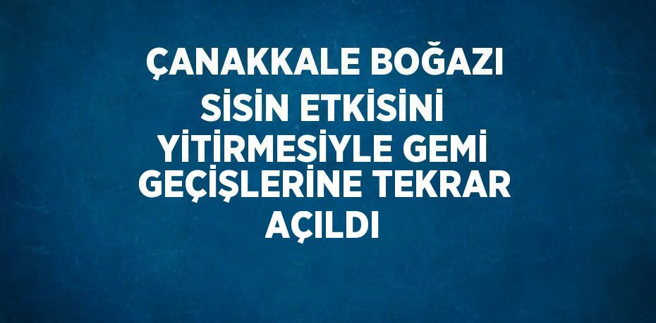 ÇANAKKALE BOĞAZI SİSİN ETKİSİNİ YİTİRMESİYLE GEMİ GEÇİŞLERİNE TEKRAR AÇILDI