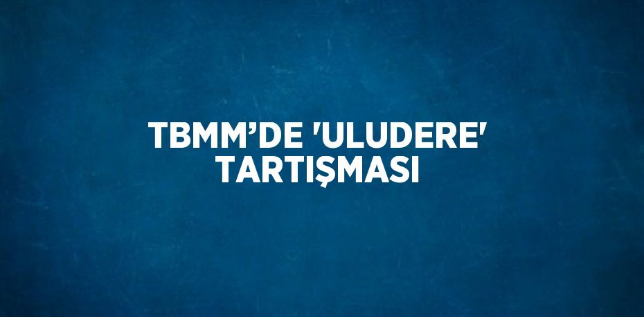 TBMM’DE 'ULUDERE' TARTIŞMASI