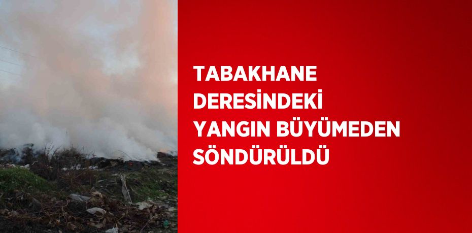 TABAKHANE DERESİNDEKİ YANGIN BÜYÜMEDEN SÖNDÜRÜLDÜ