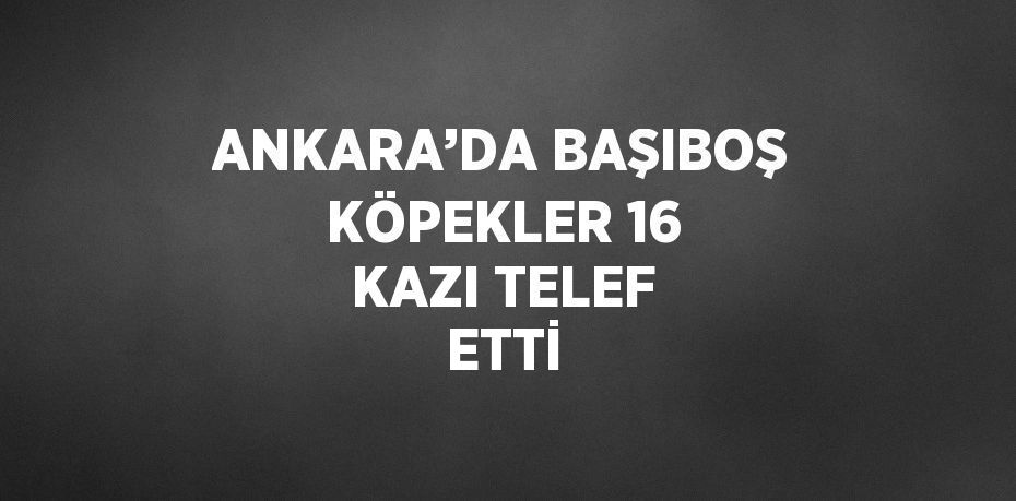 ANKARA’DA BAŞIBOŞ KÖPEKLER 16 KAZI TELEF ETTİ