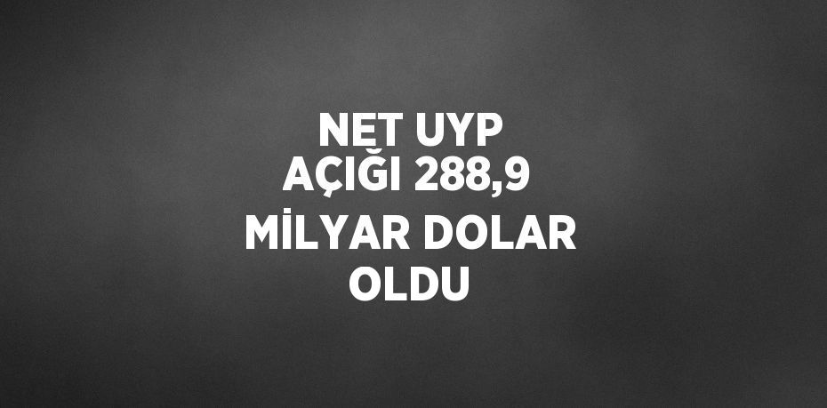 NET UYP AÇIĞI 288,9 MİLYAR DOLAR OLDU