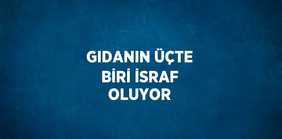 GIDANIN ÜÇTE BİRİ İSRAF OLUYOR