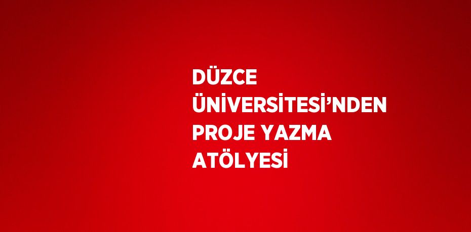 DÜZCE ÜNİVERSİTESİ’NDEN PROJE YAZMA ATÖLYESİ