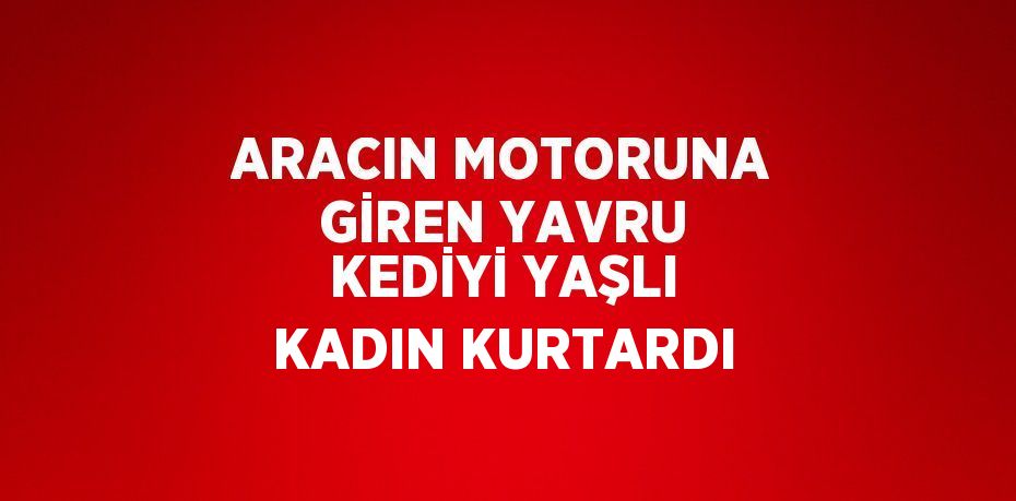 ARACIN MOTORUNA GİREN YAVRU KEDİYİ YAŞLI KADIN KURTARDI