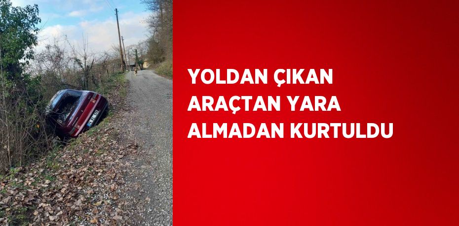 YOLDAN ÇIKAN ARAÇTAN YARA ALMADAN KURTULDU