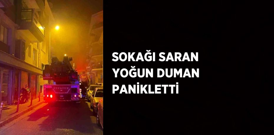 SOKAĞI SARAN YOĞUN DUMAN PANİKLETTİ