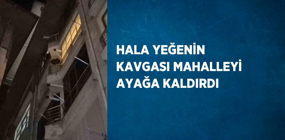 HALA YEĞENİN KAVGASI MAHALLEYİ AYAĞA KALDIRDI