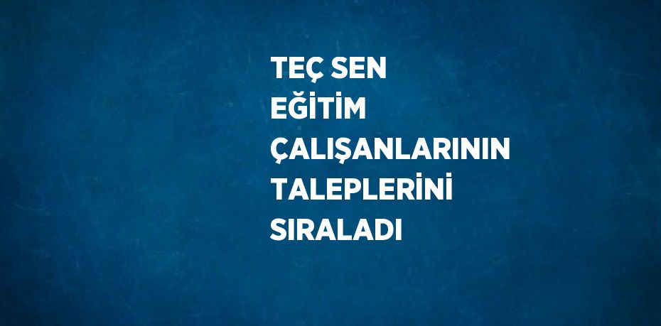 TEÇ SEN EĞİTİM ÇALIŞANLARININ TALEPLERİNİ SIRALADI