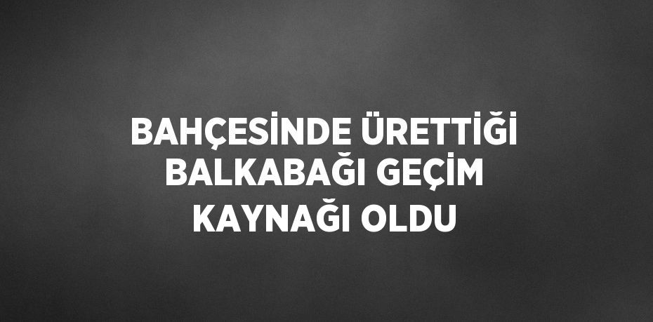 BAHÇESİNDE ÜRETTİĞİ BALKABAĞI GEÇİM KAYNAĞI OLDU