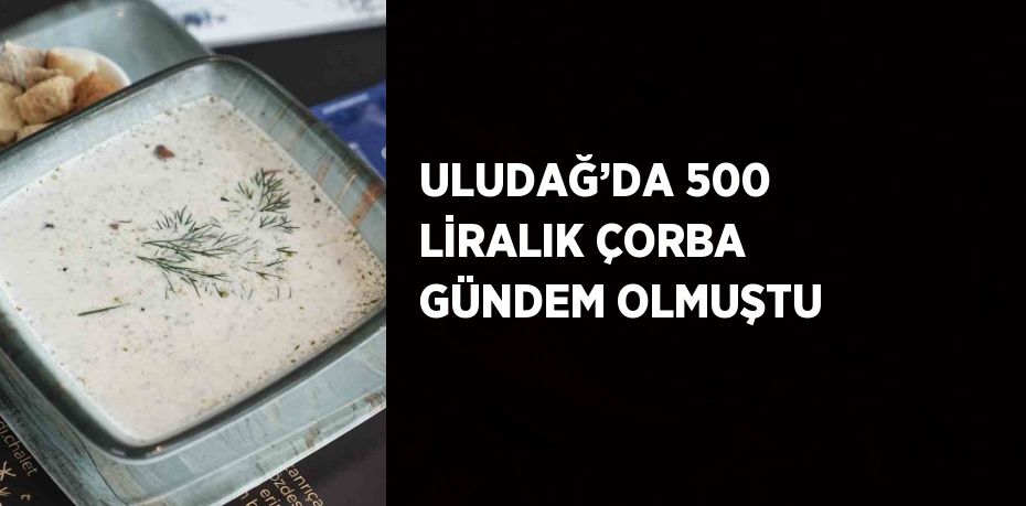 ULUDAĞ’DA 500 LİRALIK ÇORBA GÜNDEM OLMUŞTU