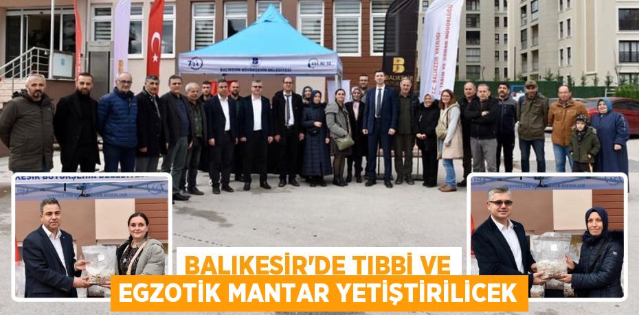 BALIKESİR’DE TIBBİ VE EGZOTİK MANTAR YETİŞTİRİLİCEK