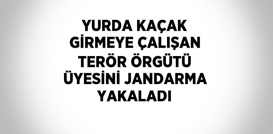 YURDA KAÇAK GİRMEYE ÇALIŞAN TERÖR ÖRGÜTÜ ÜYESİNİ JANDARMA YAKALADI