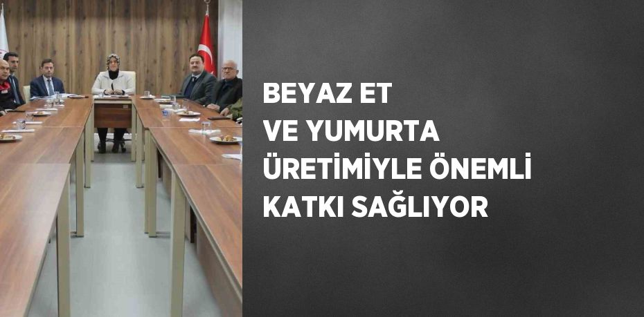 BEYAZ ET VE YUMURTA ÜRETİMİYLE ÖNEMLİ KATKI SAĞLIYOR