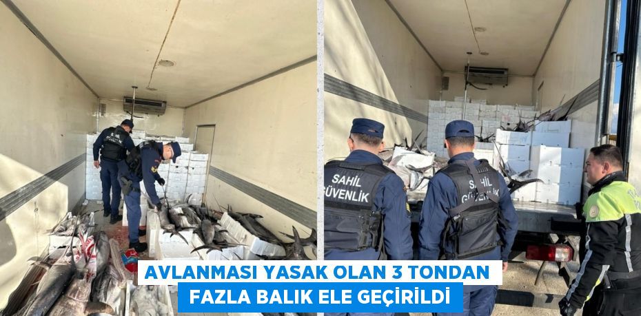 AVLANMASI YASAK OLAN 3 TONDAN  FAZLA BALIK ELE GEÇİRİLDİ