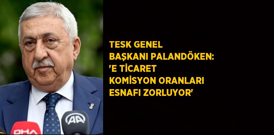 TESK GENEL BAŞKANI PALANDÖKEN: 'E TİCARET KOMİSYON ORANLARI ESNAFI ZORLUYOR'