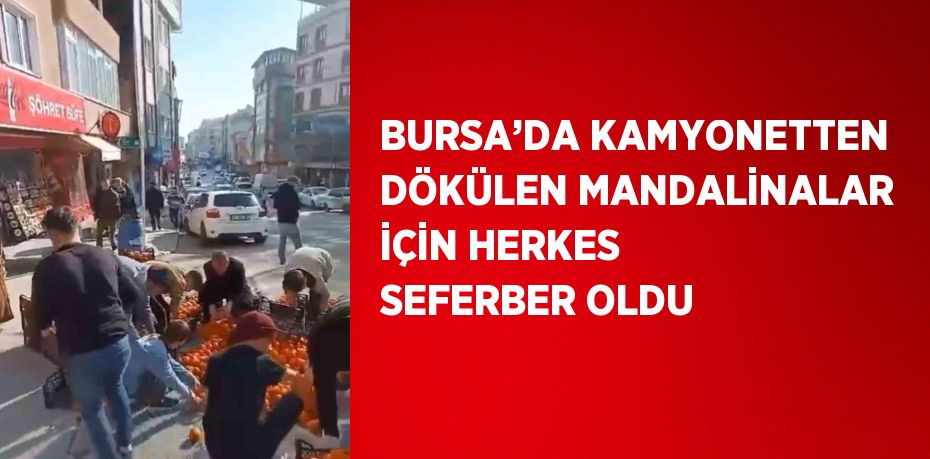 BURSA’DA KAMYONETTEN DÖKÜLEN MANDALİNALAR İÇİN HERKES SEFERBER OLDU