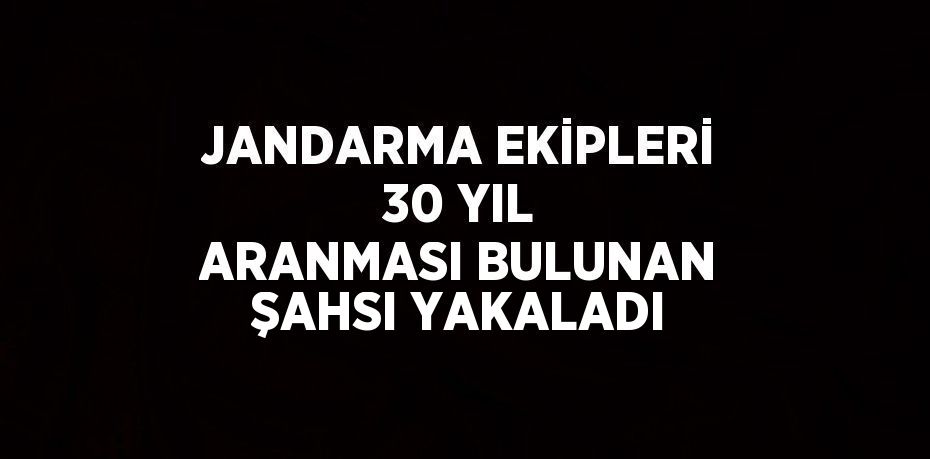 JANDARMA EKİPLERİ 30 YIL ARANMASI BULUNAN ŞAHSI YAKALADI