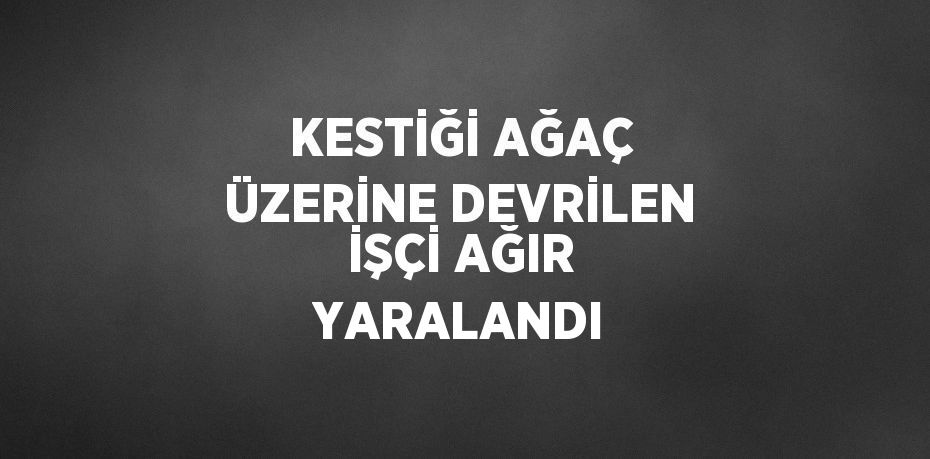 KESTİĞİ AĞAÇ ÜZERİNE DEVRİLEN İŞÇİ AĞIR YARALANDI