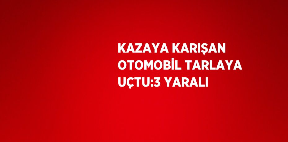 KAZAYA KARIŞAN OTOMOBİL TARLAYA UÇTU:3 YARALI