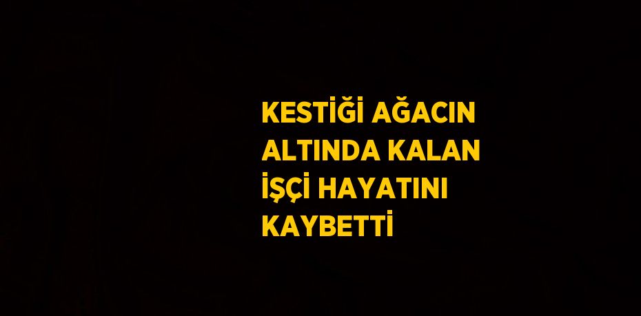 KESTİĞİ AĞACIN ALTINDA KALAN İŞÇİ HAYATINI KAYBETTİ