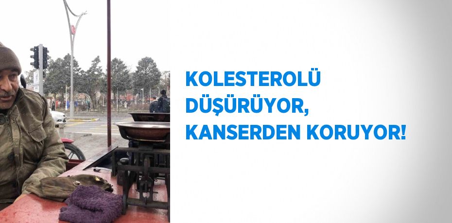 KOLESTEROLÜ DÜŞÜRÜYOR, KANSERDEN KORUYOR!