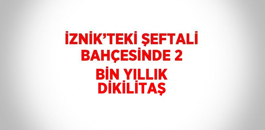 İZNİK’TEKİ ŞEFTALİ BAHÇESİNDE 2 BİN YILLIK DİKİLİTAŞ