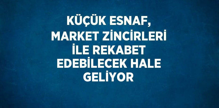 KÜÇÜK ESNAF, MARKET ZİNCİRLERİ İLE REKABET EDEBİLECEK HALE GELİYOR