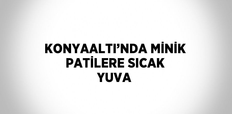 KONYAALTI’NDA MİNİK PATİLERE SICAK YUVA