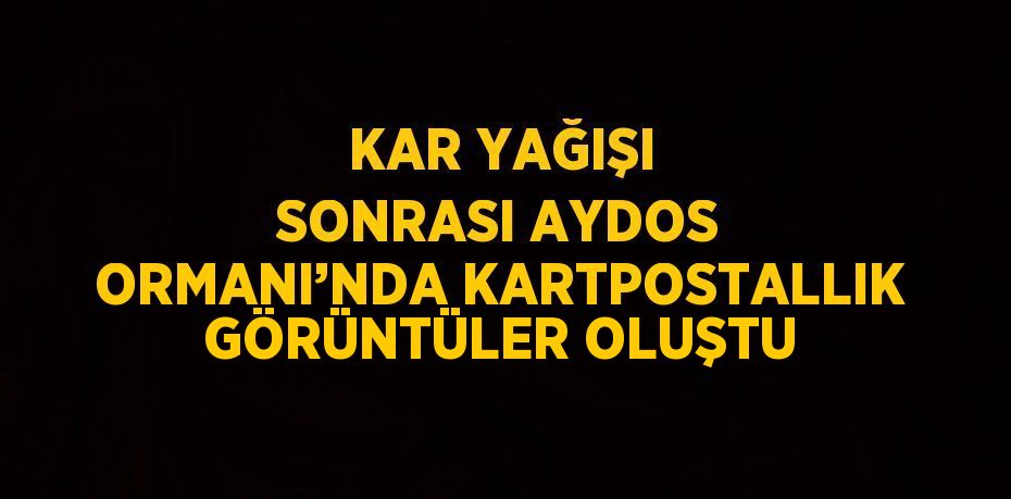 KAR YAĞIŞI SONRASI AYDOS ORMANI’NDA KARTPOSTALLIK GÖRÜNTÜLER OLUŞTU