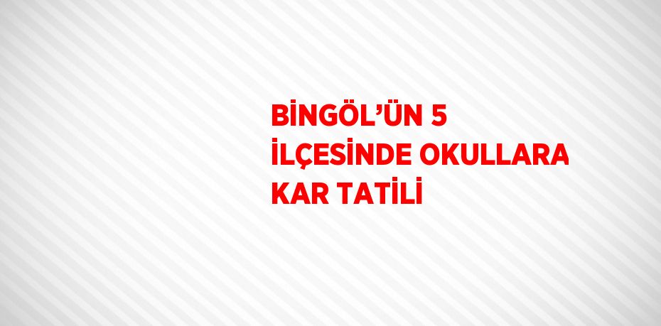 BİNGÖL’ÜN 5 İLÇESİNDE OKULLARA KAR TATİLİ