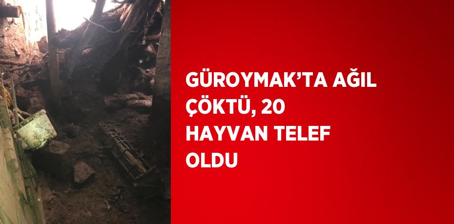 GÜROYMAK’TA AĞIL ÇÖKTÜ, 20 HAYVAN TELEF OLDU