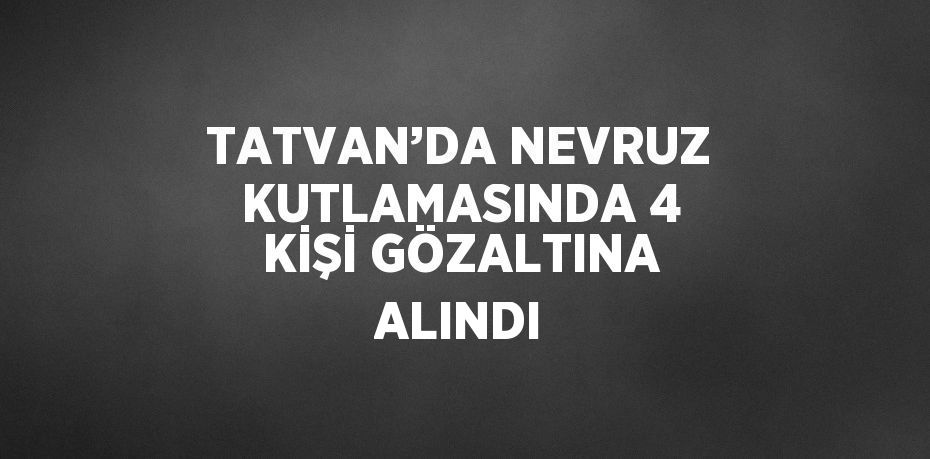 TATVAN’DA NEVRUZ KUTLAMASINDA 4 KİŞİ GÖZALTINA ALINDI