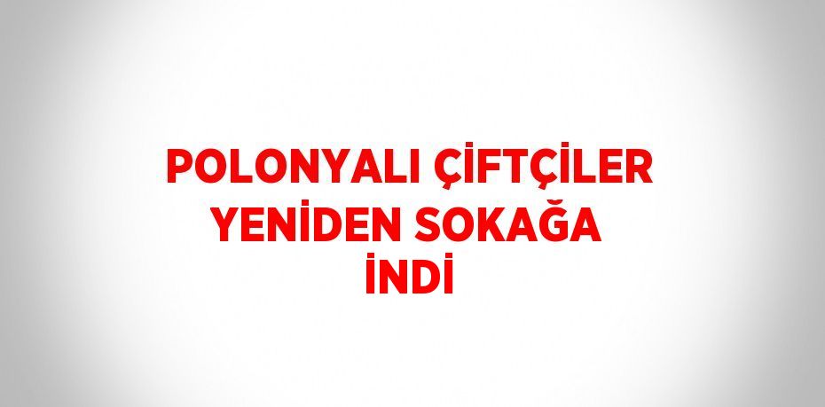 POLONYALI ÇİFTÇİLER YENİDEN SOKAĞA İNDİ