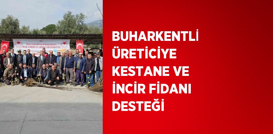 BUHARKENTLİ ÜRETİCİYE KESTANE VE İNCİR FİDANI DESTEĞİ