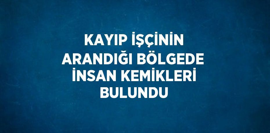 KAYIP İŞÇİNİN ARANDIĞI BÖLGEDE İNSAN KEMİKLERİ BULUNDU