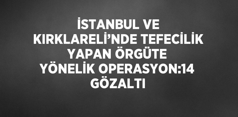 İSTANBUL VE KIRKLARELİ’NDE TEFECİLİK YAPAN ÖRGÜTE YÖNELİK OPERASYON:14 GÖZALTI