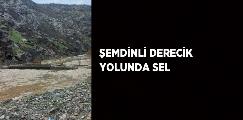 ŞEMDİNLİ DERECİK YOLUNDA SEL